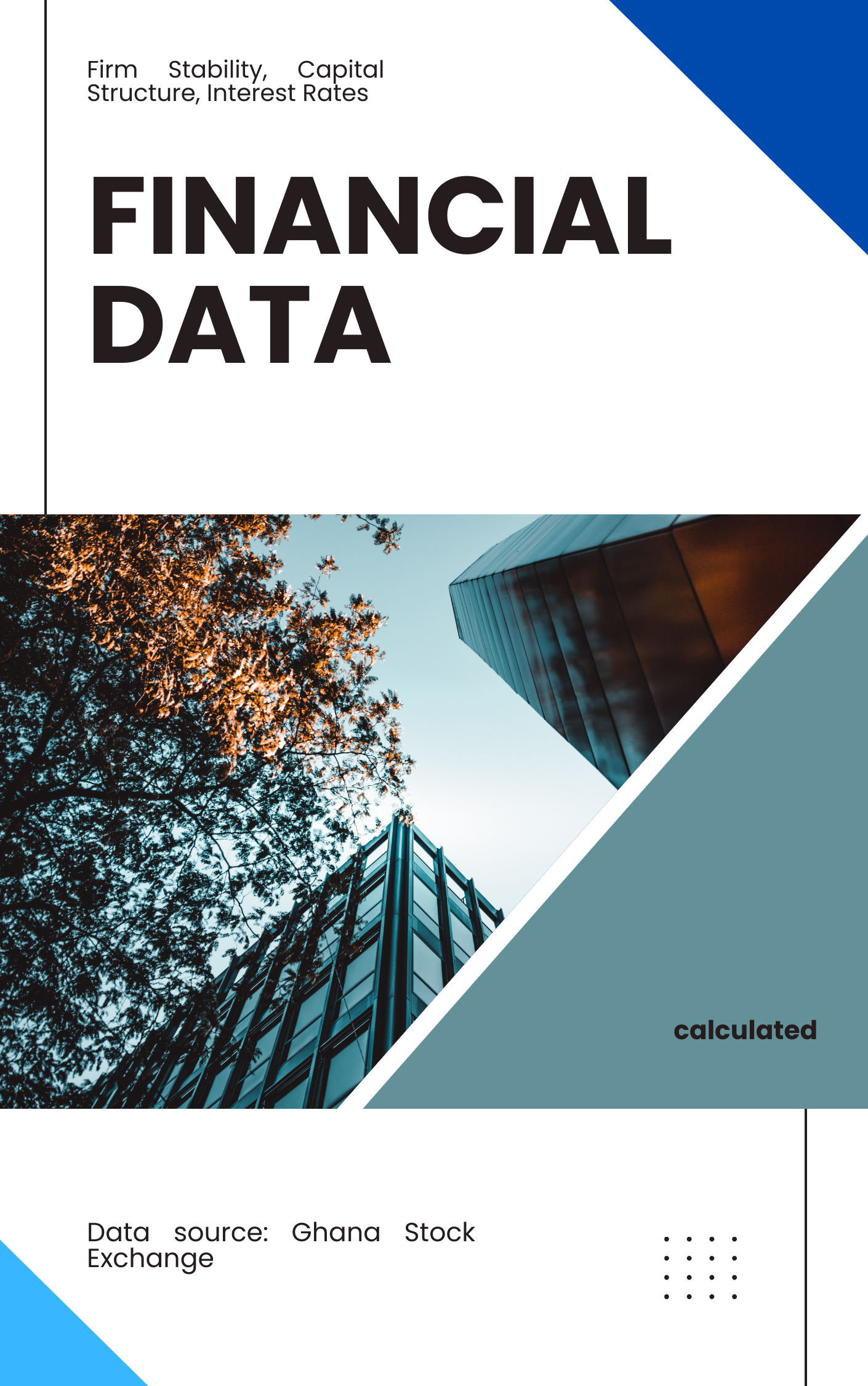 Financial Data (Firm Stability,Capital Structure,Interest Rates,Size, Leverage, Liquidity)
